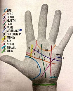 Palm Reading